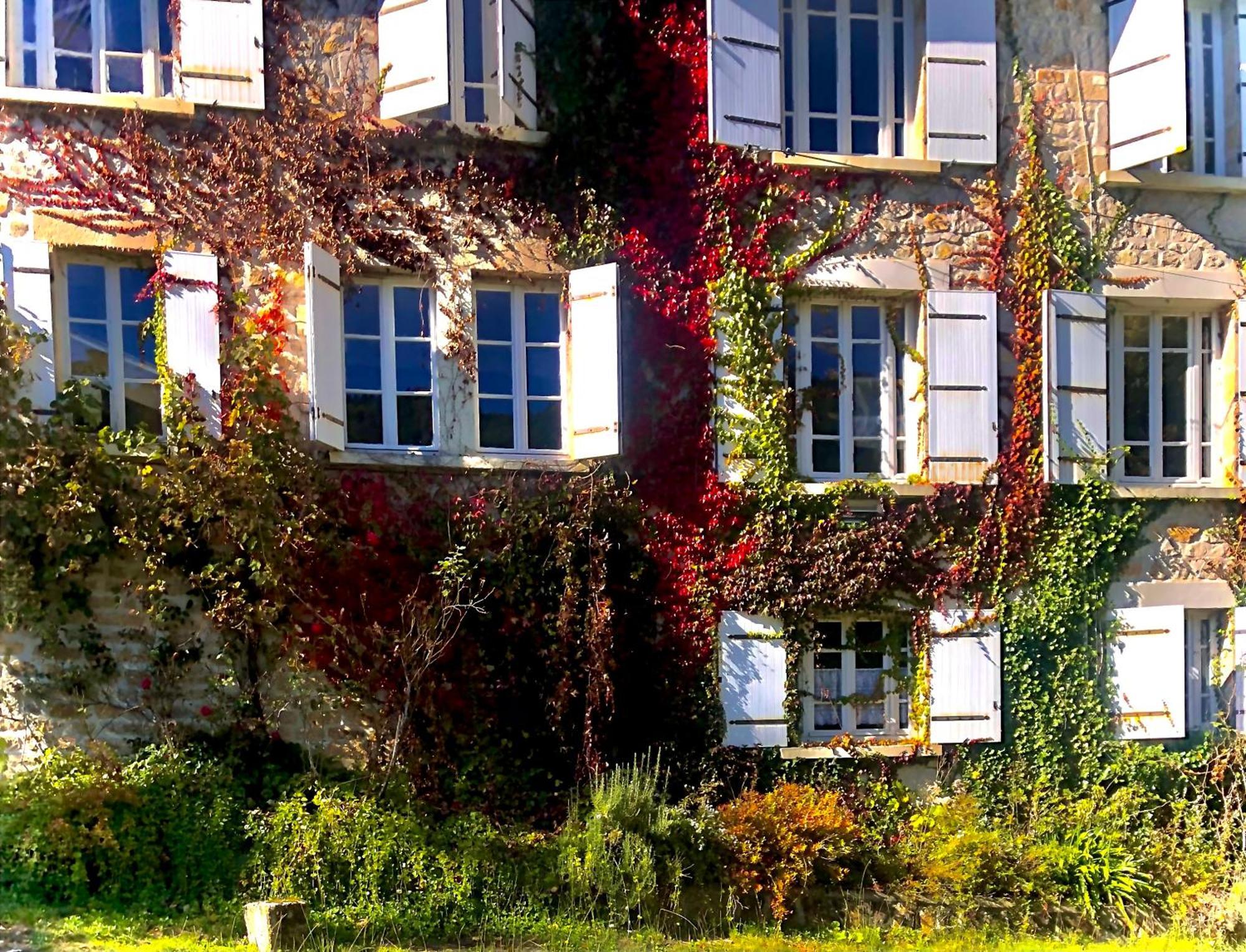 Le Chambon, Chambres D'Hotes Saint-Merd-de-Lapleau Extérieur photo