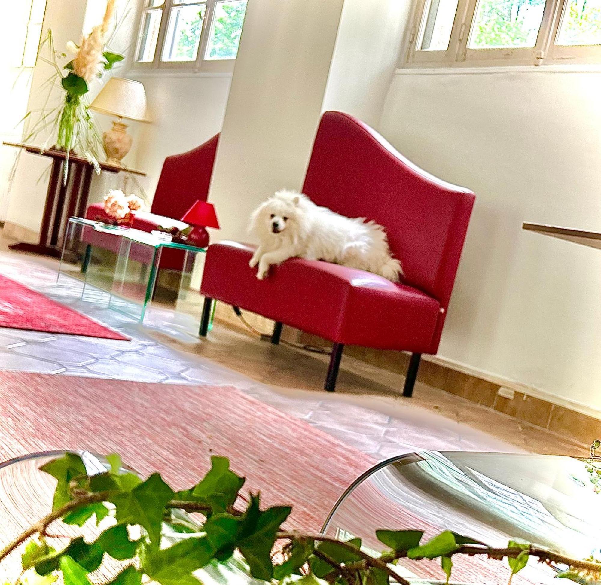 Le Chambon, Chambres D'Hotes Saint-Merd-de-Lapleau Extérieur photo